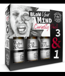 Brouwerij De Molen Curiosity Giftpack 4 x 33cl
