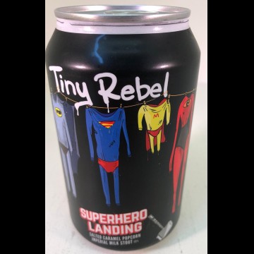 Tiny Rebel Super Hero Landing