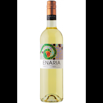 Enaria Verdejo