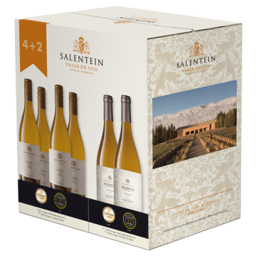 Salentein Barrel Selection & Numina Chardonnay Mixed Case