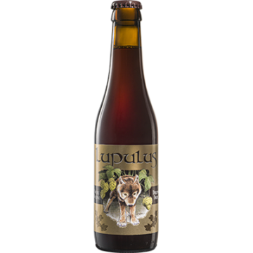 Lupulus Bruin