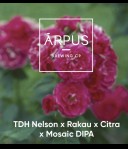 Arpus TDH Nelson x Rakau x Citra x Mosaic DIPA