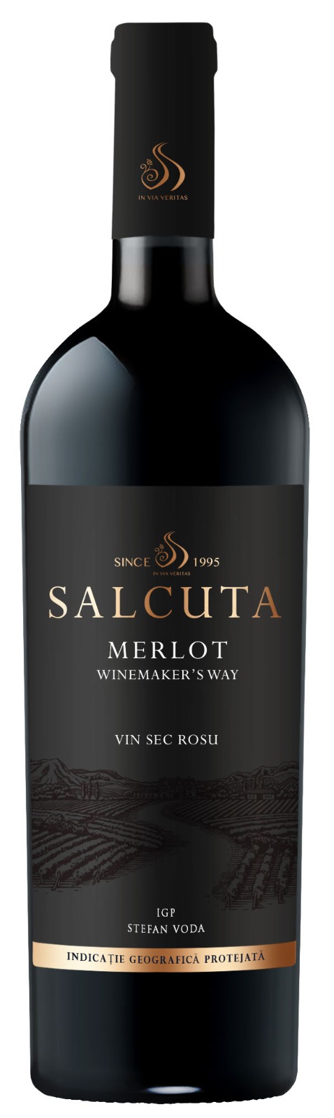 Salcuta Merlot.jpg