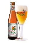 Brugse Zot Sport